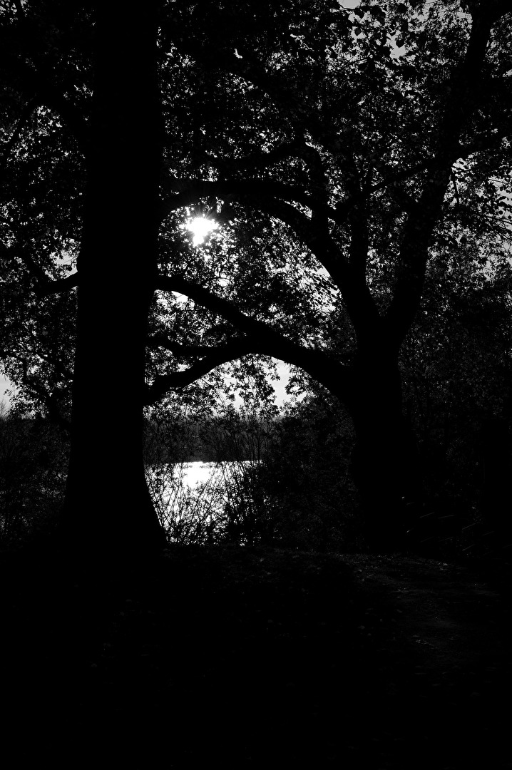 Into Light