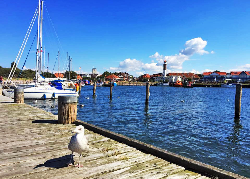 kleiner Hafen mit Möwe