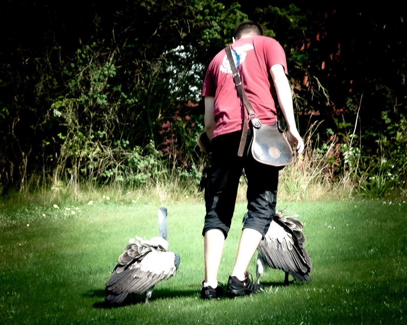 Komm wir gehn nach Hause. Wird schon dunkel.