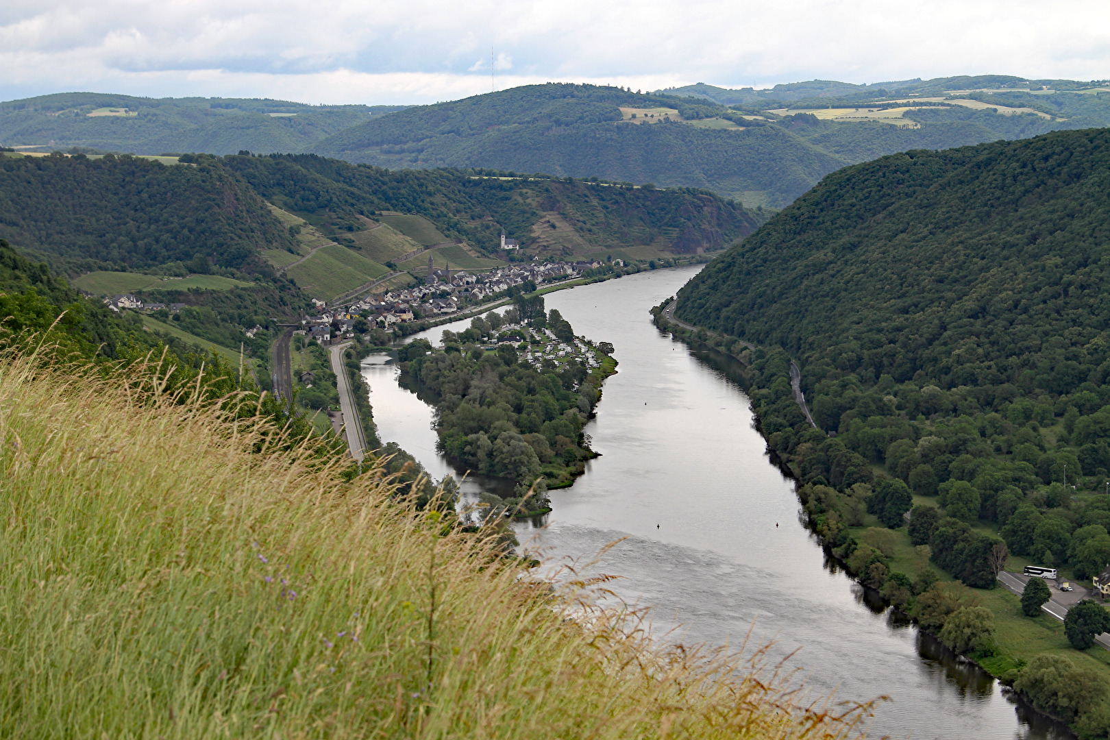 Moselinsel