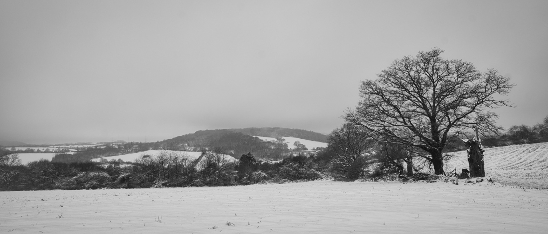Winter im Saarland. (Schnee eher selten)