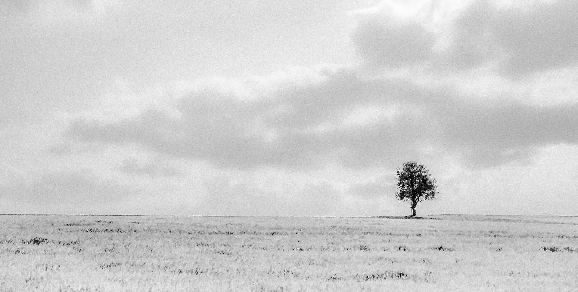 Allein aber nicht einsam