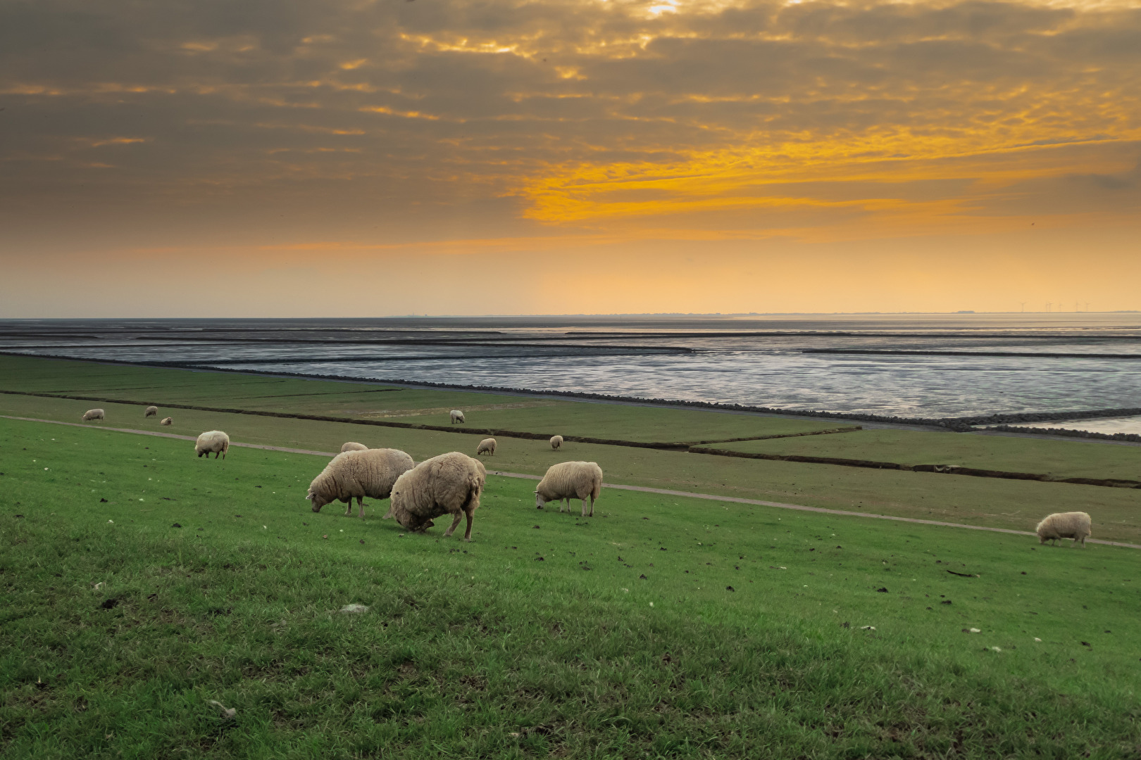 #Landschaft    Nordstrand