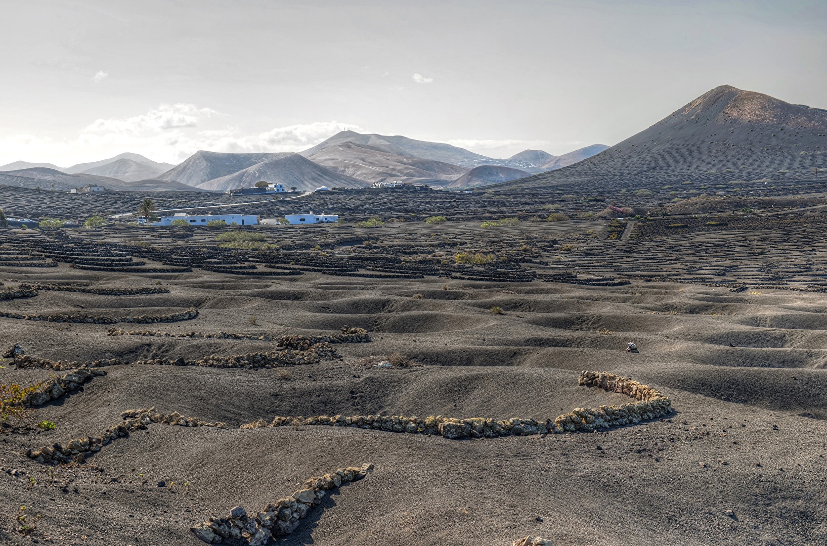 La Geria / Lanzarote