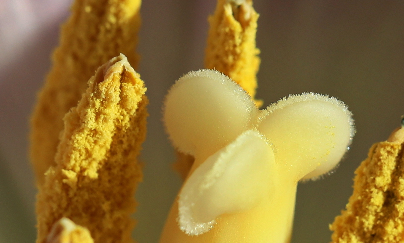 Fotowettbewerb-01-23