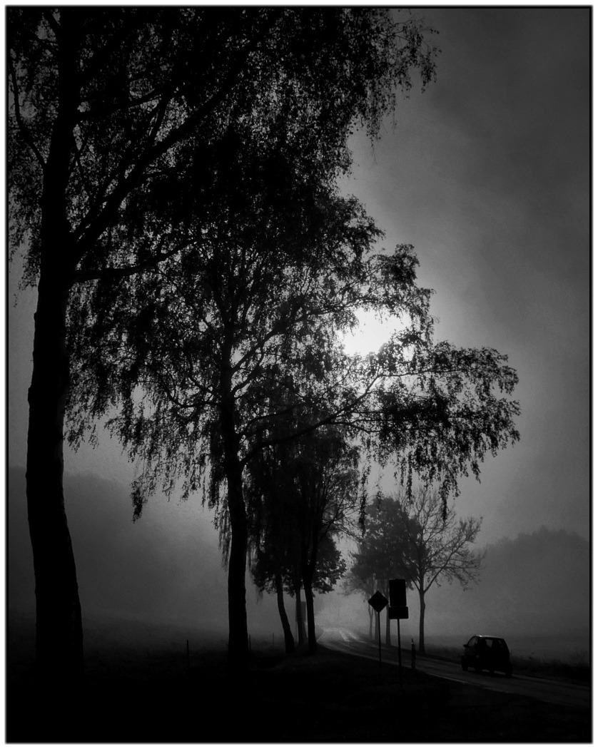 Wenn der Tag beginnt...