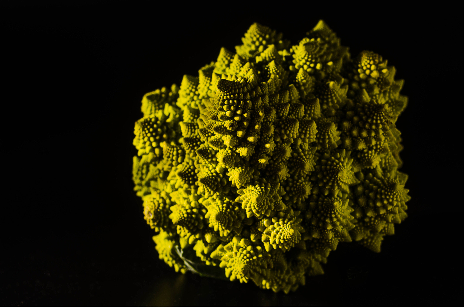 Romanesco