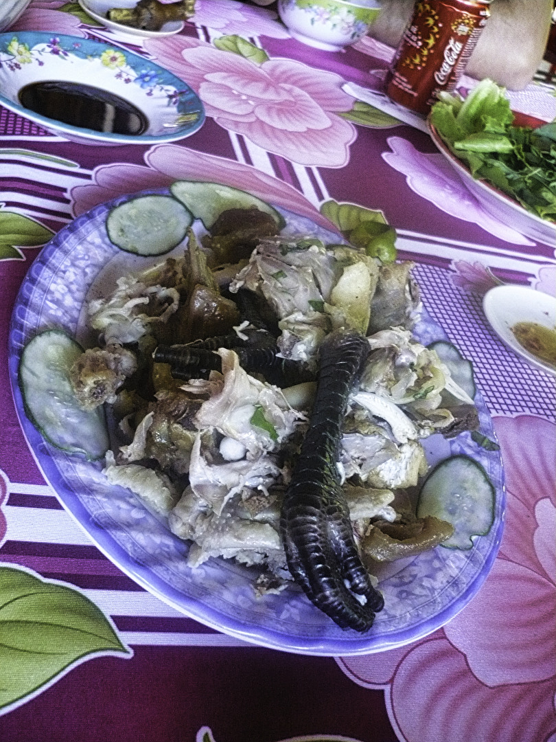 will man das essen ?