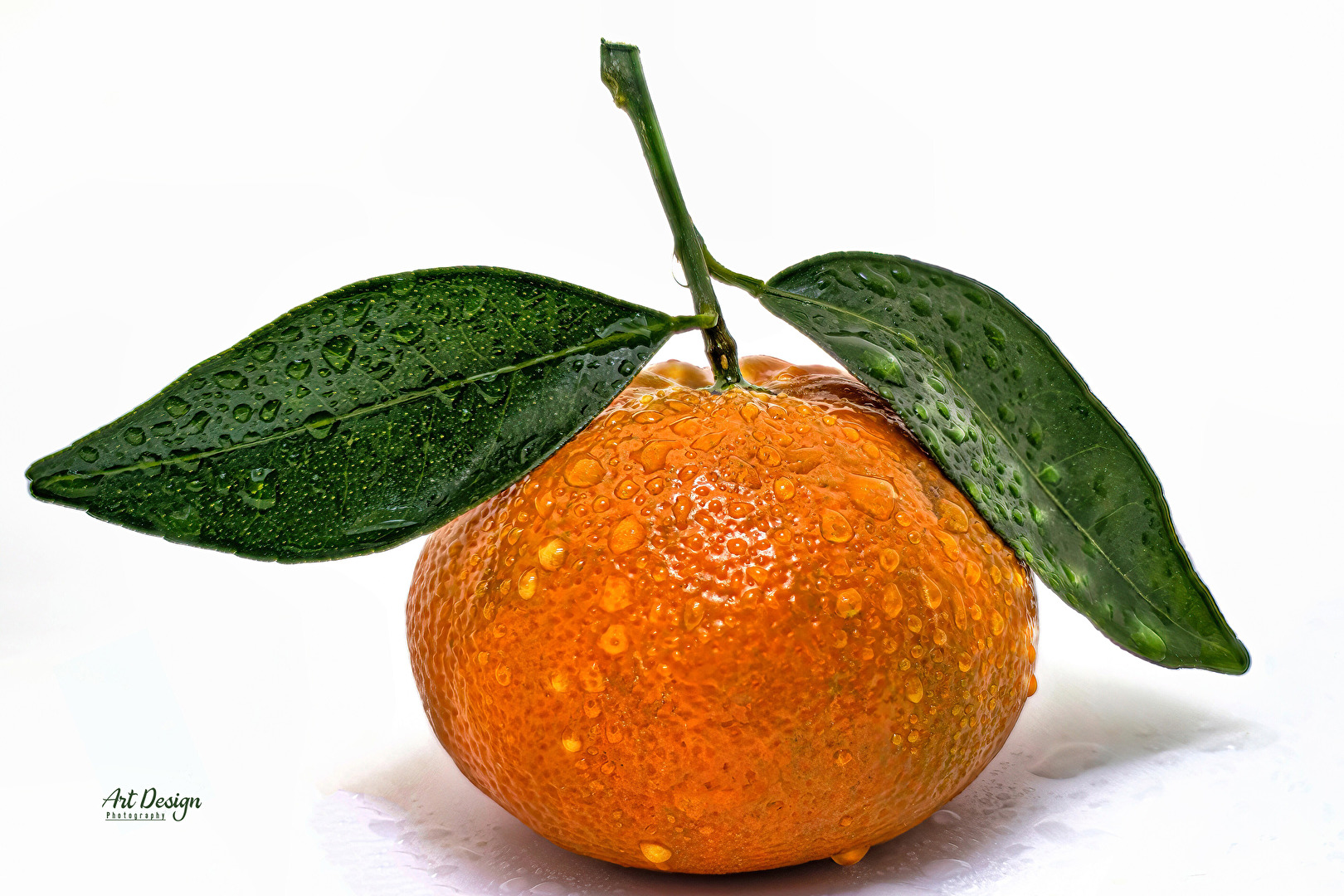 Die "Blatt Mandarine" (jo stand stand es wirklich am Verkaufsschild)