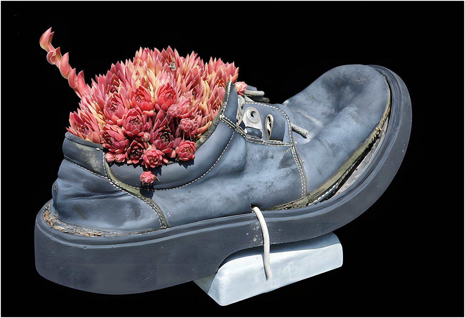 Der alte Schuh und das neue Leben