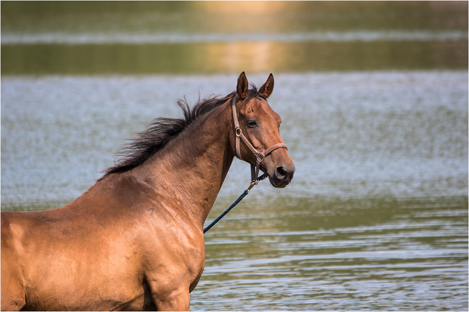 Das erste mal im Wasser