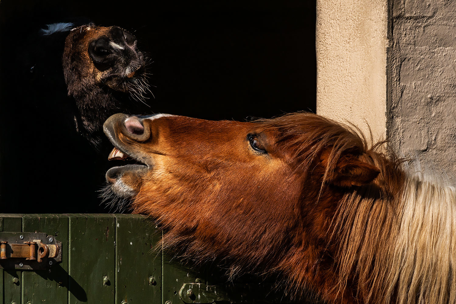 Moin, auch schon wach!