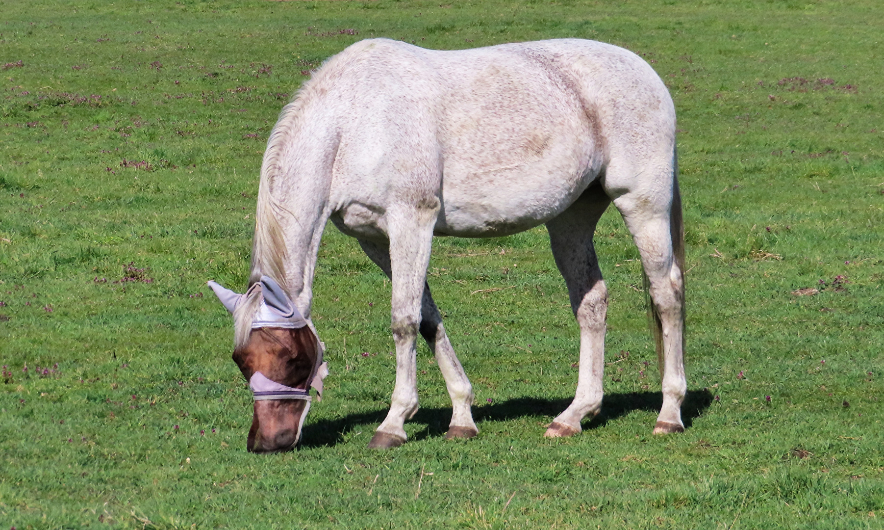 auch ich trage eine Maske