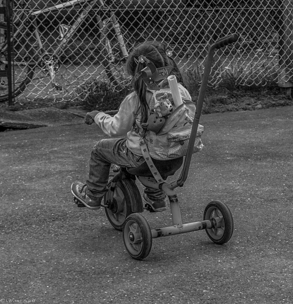 Wohin wohl die Reise geht......