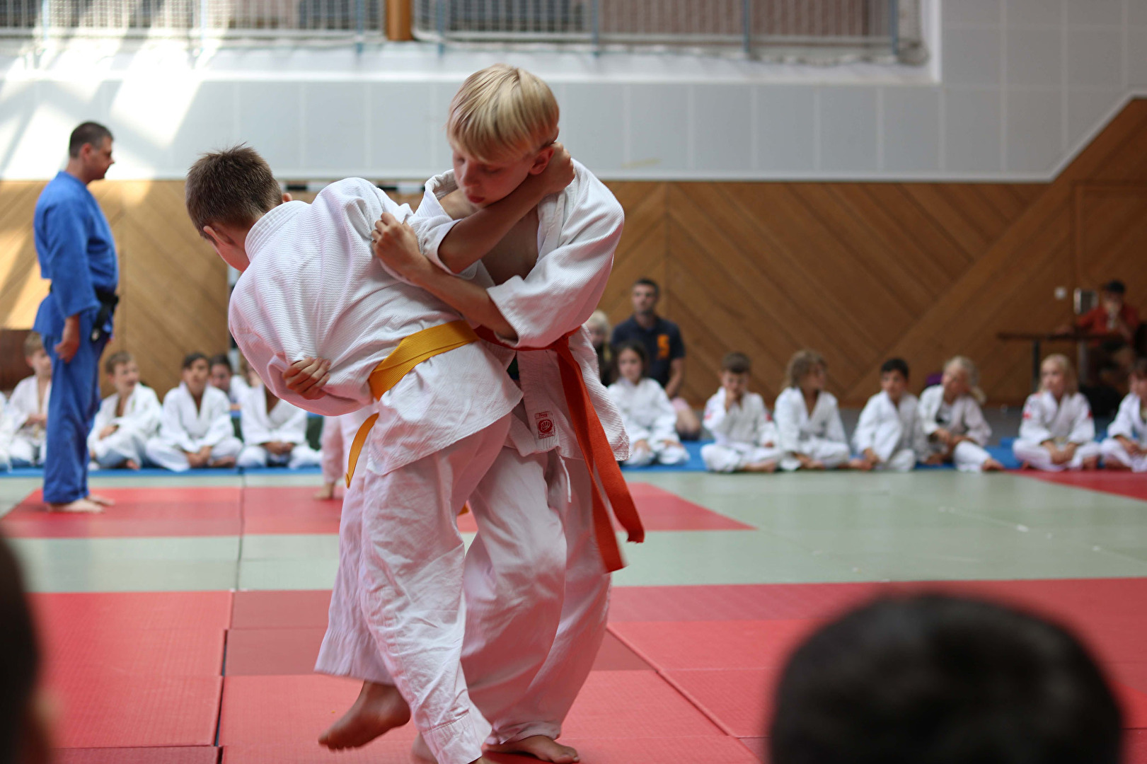 Kinder-Judo in Bautzen / Sachsen