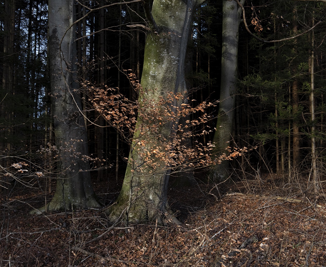 warten auf den Frühling