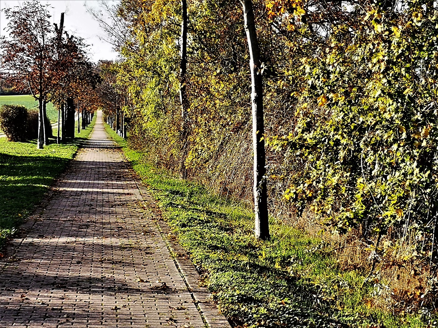 der Weg ist das Ziel