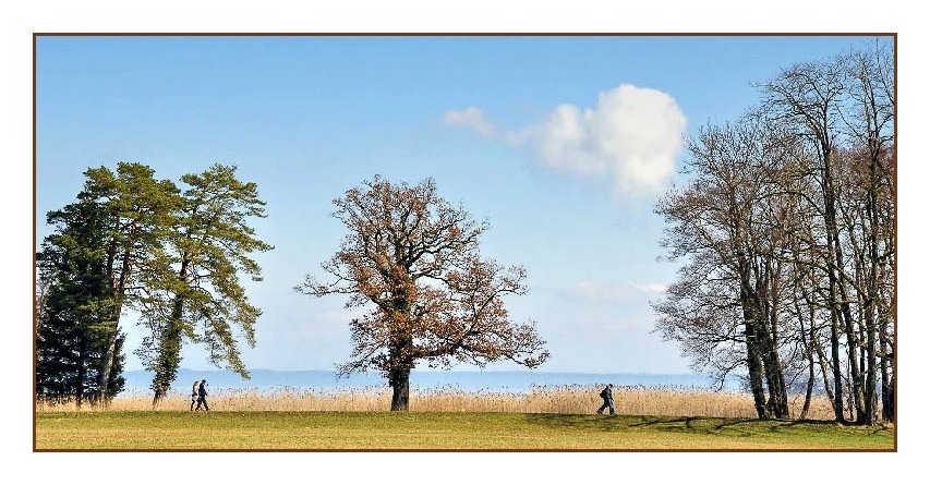 Herreninsel auch in Farbe ... Was gefällt besser?