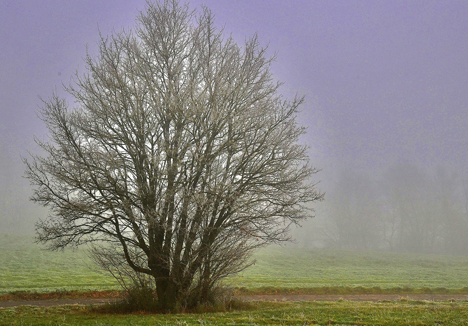 Das Innere Licht