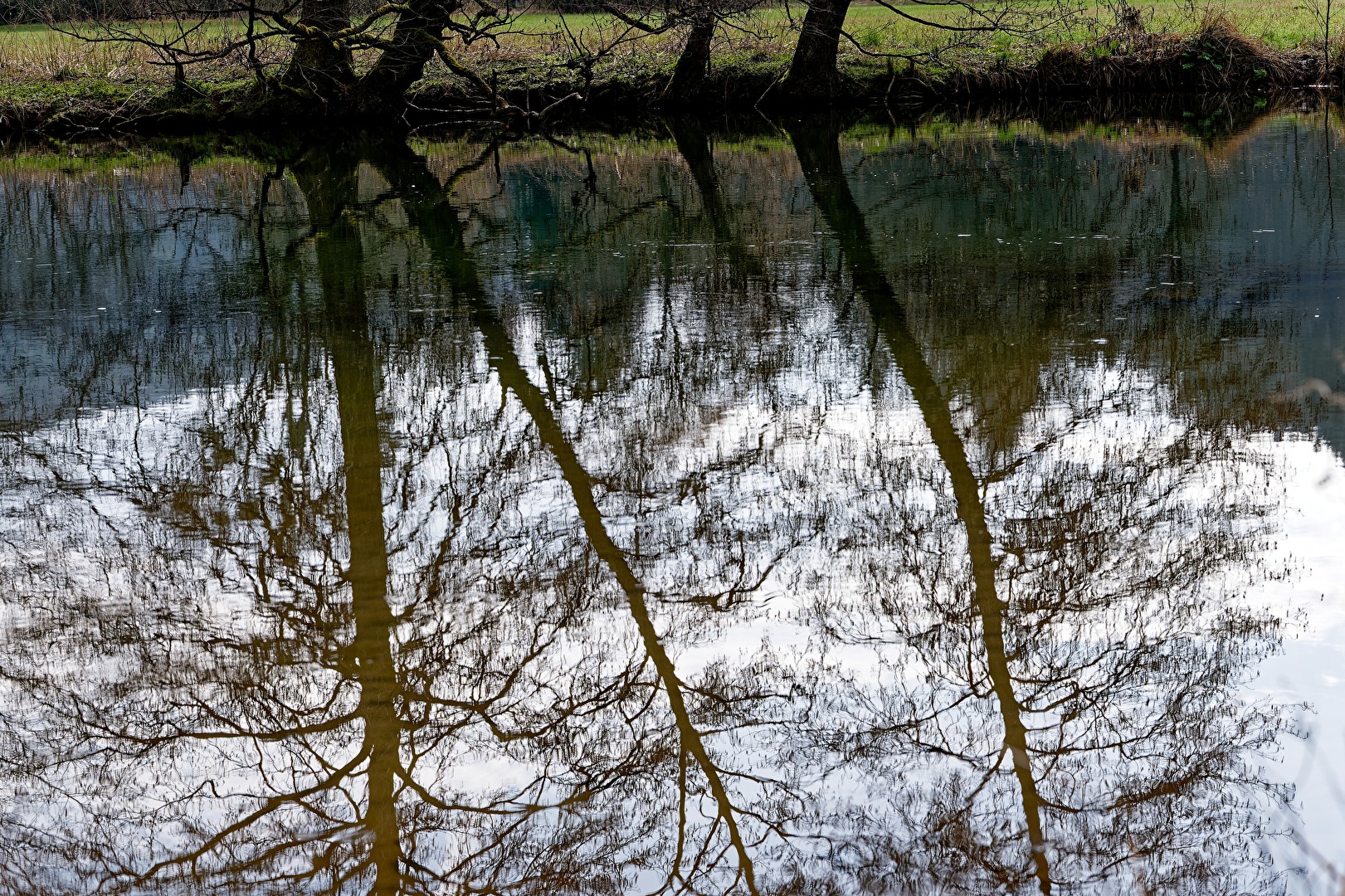 umgekehrt - Spiegelung im Teich