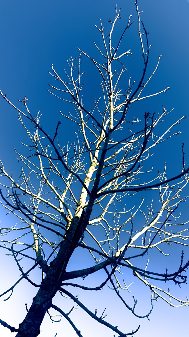 Licht und Schatten