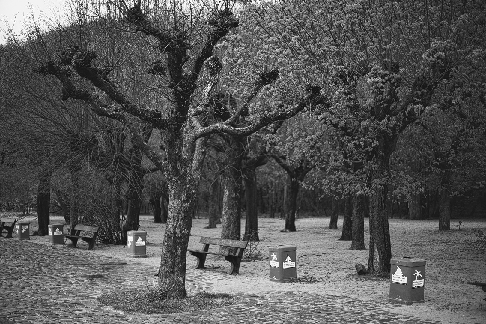 in Wittenbergen (hamburg) an der elbe