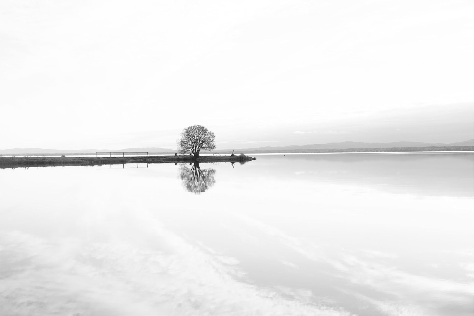 Einsamer Baum am Orsa See