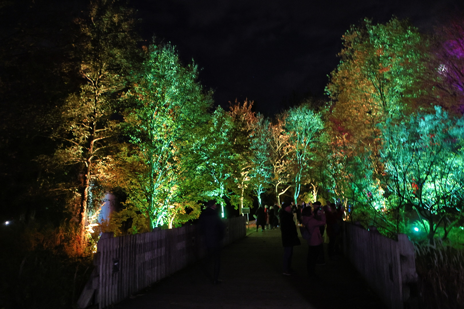 Die Farben der Nacht