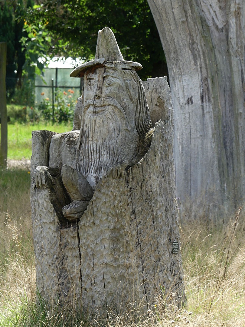 Guten Morgen, Waldmenschen