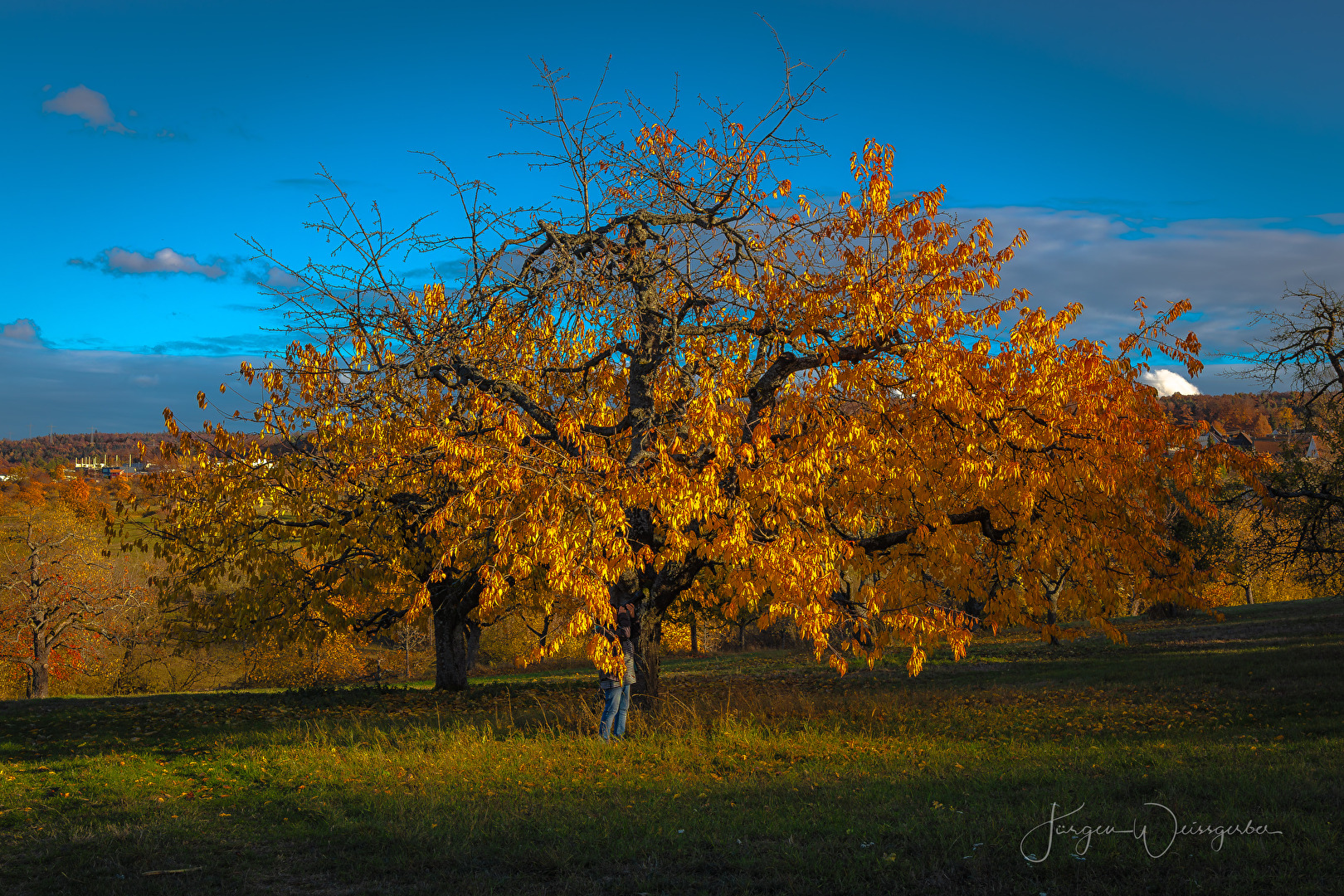 Unter dem goldenen Dach