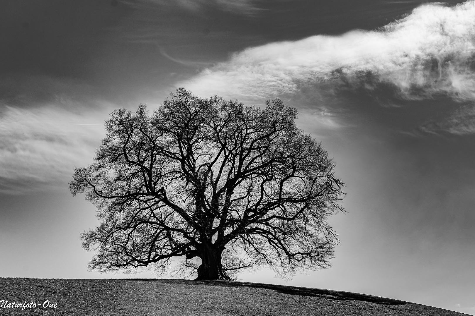 Der Zeitzeuge     Fine-Art Schwarzweiss