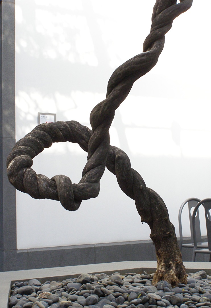 SuZhou Museum Baum 3