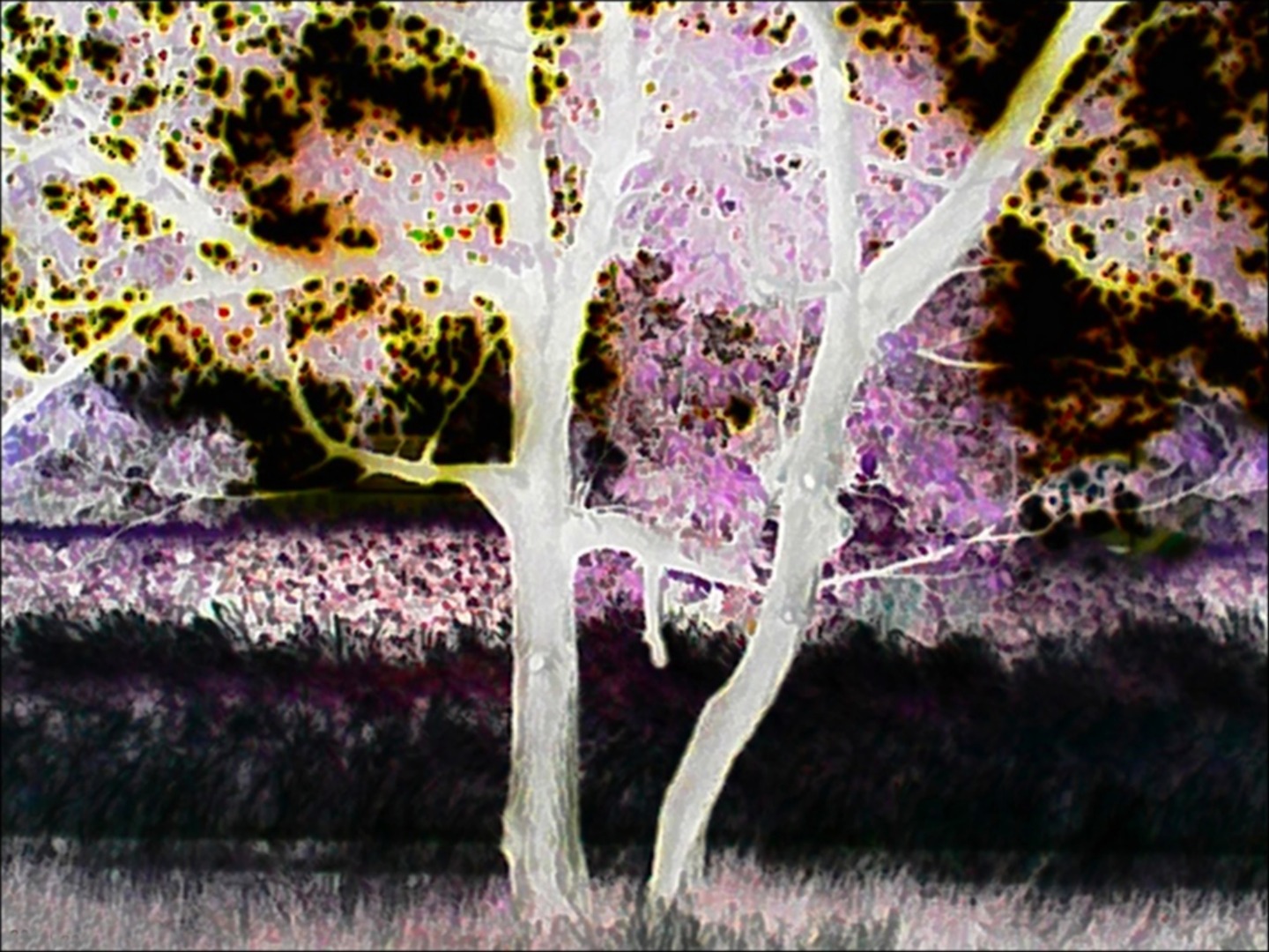 psychedelic garden