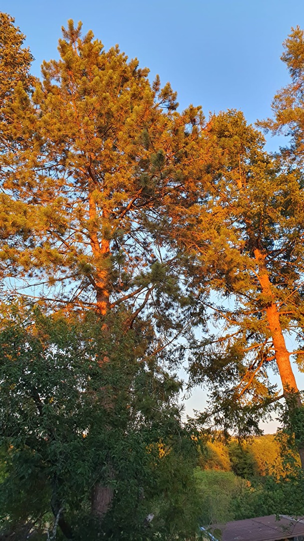 Abendstimmung...