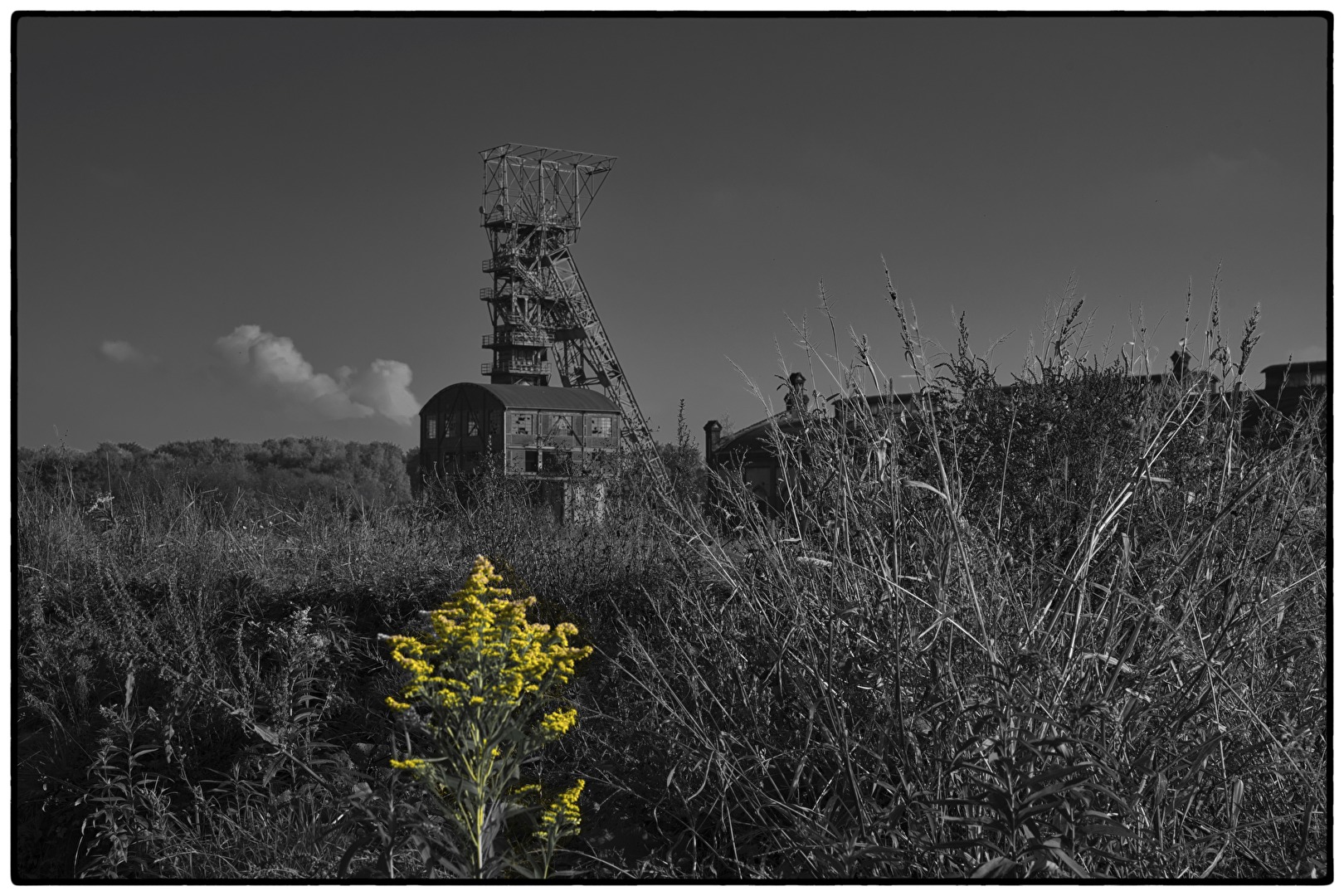 Verblühte Industrielandschaft.