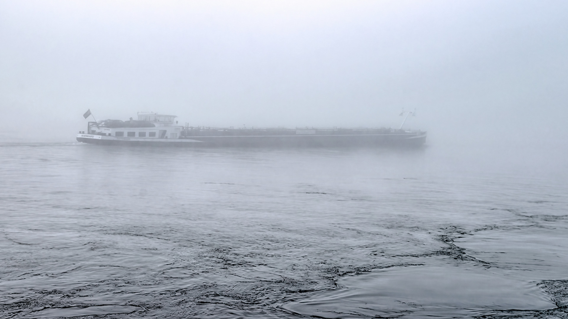Rhein im Nebel I
