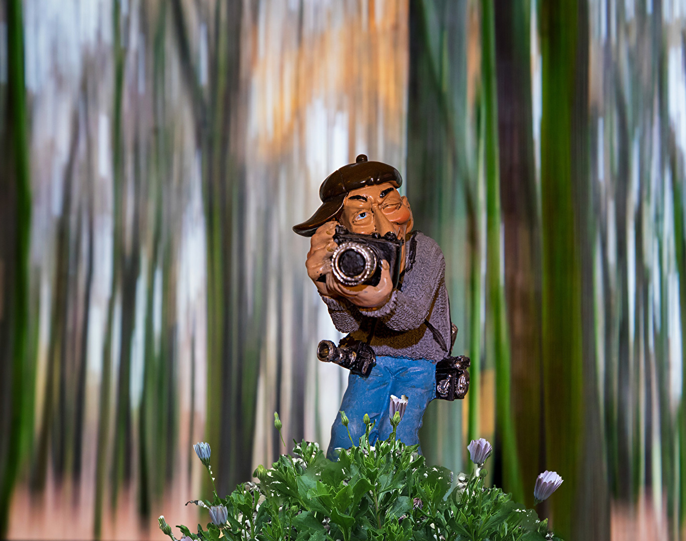 Profilbilder