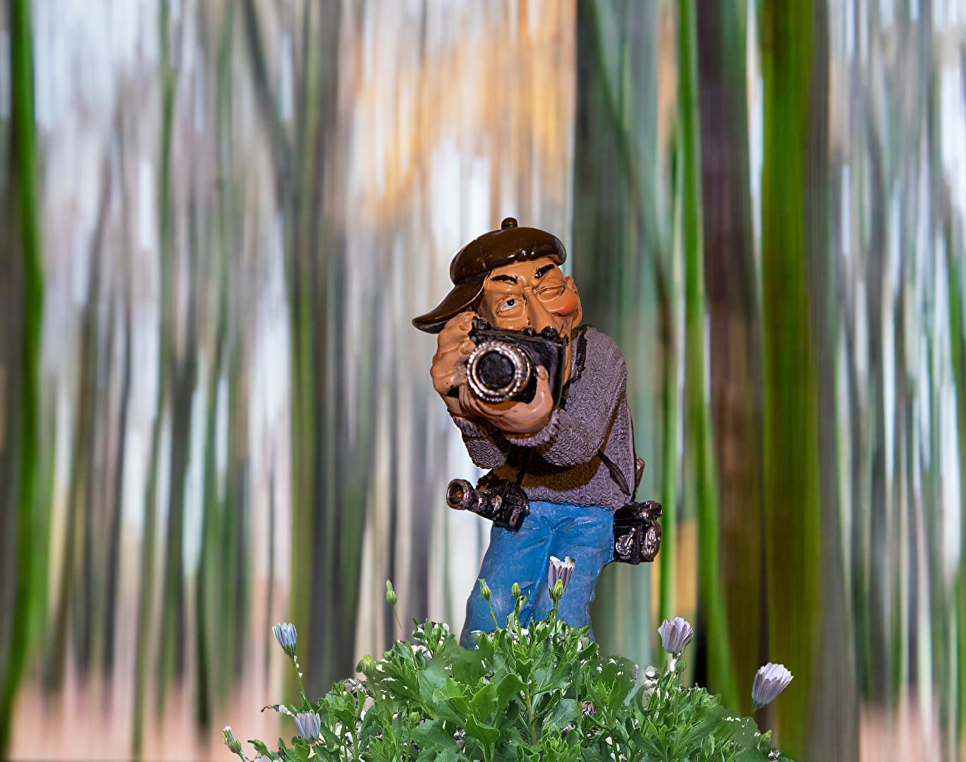 Profilbilder