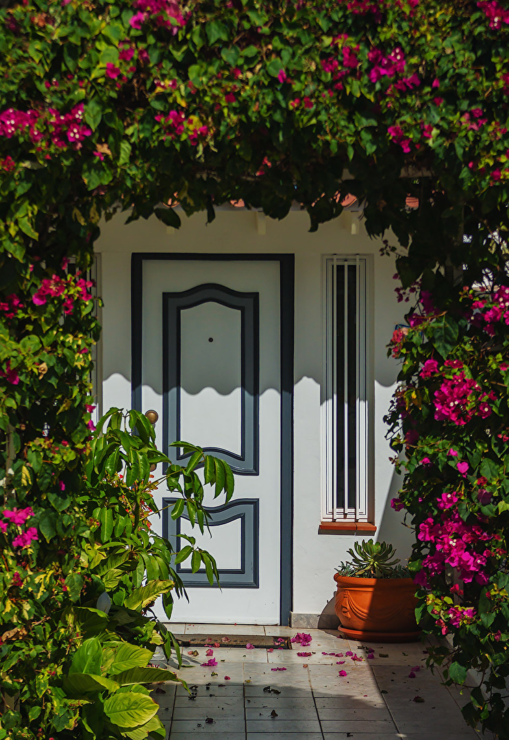 Mit Blüten umwachsen!