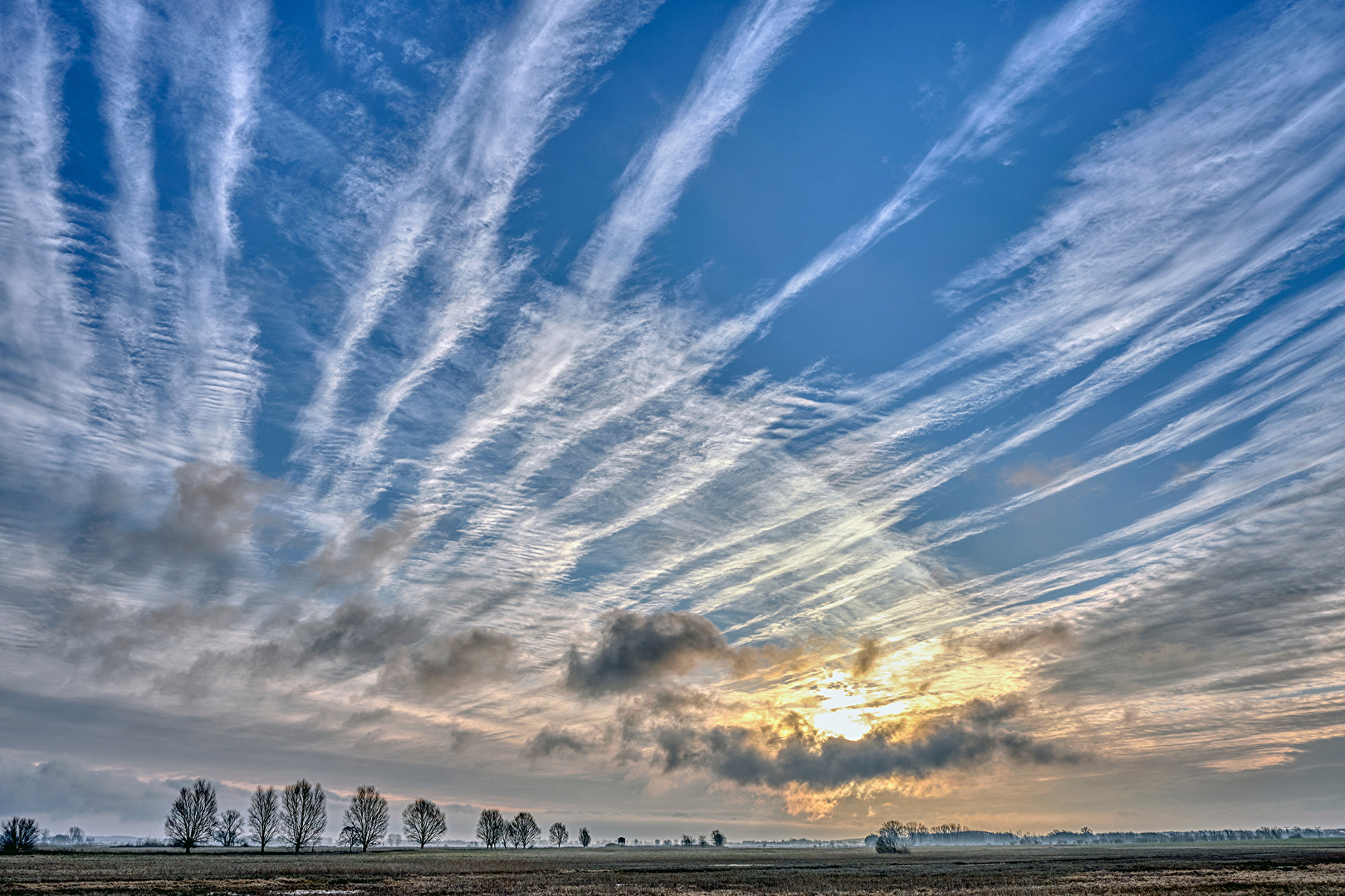 Morgens im Havelland