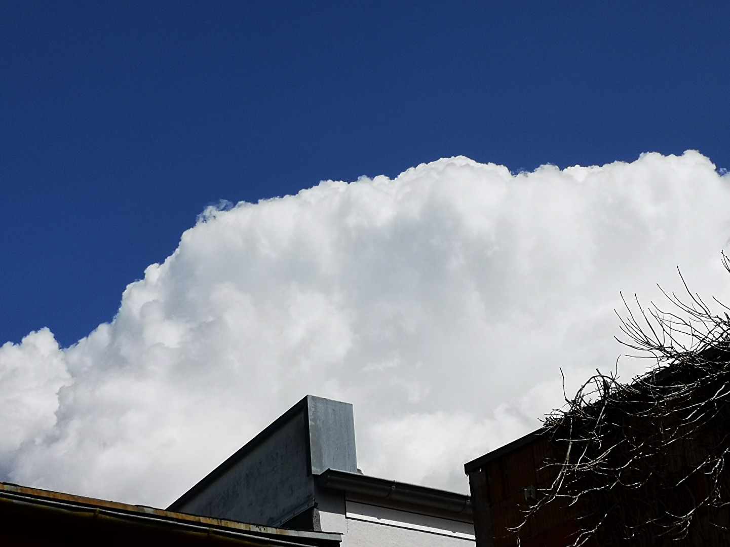 die weiße Wolke