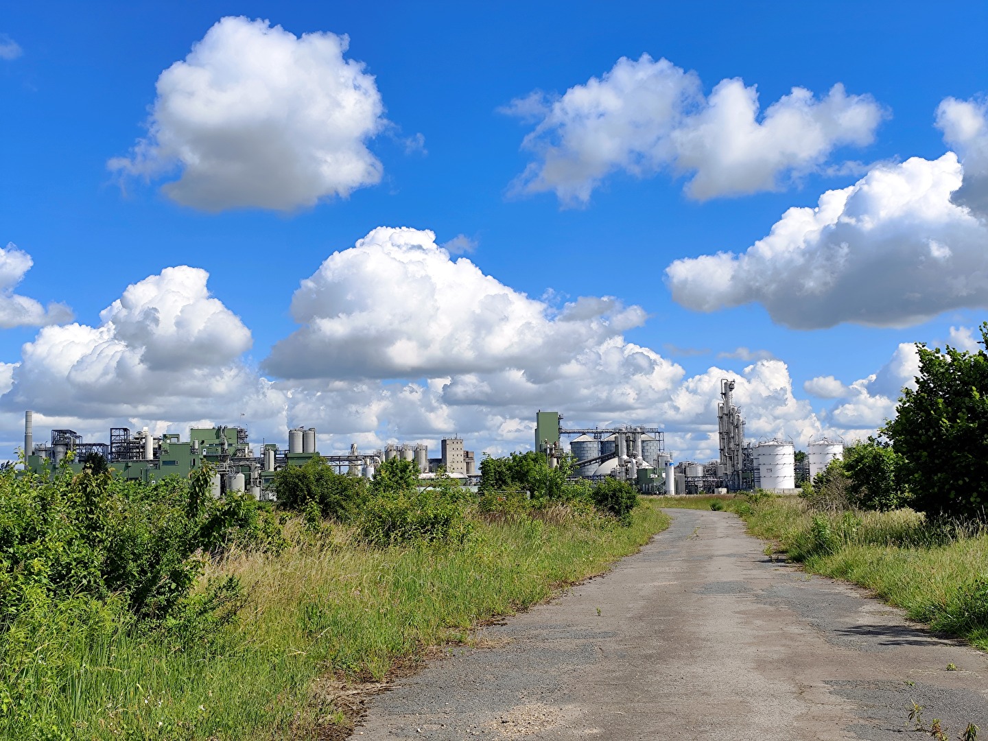 Wolkenvielfalt
