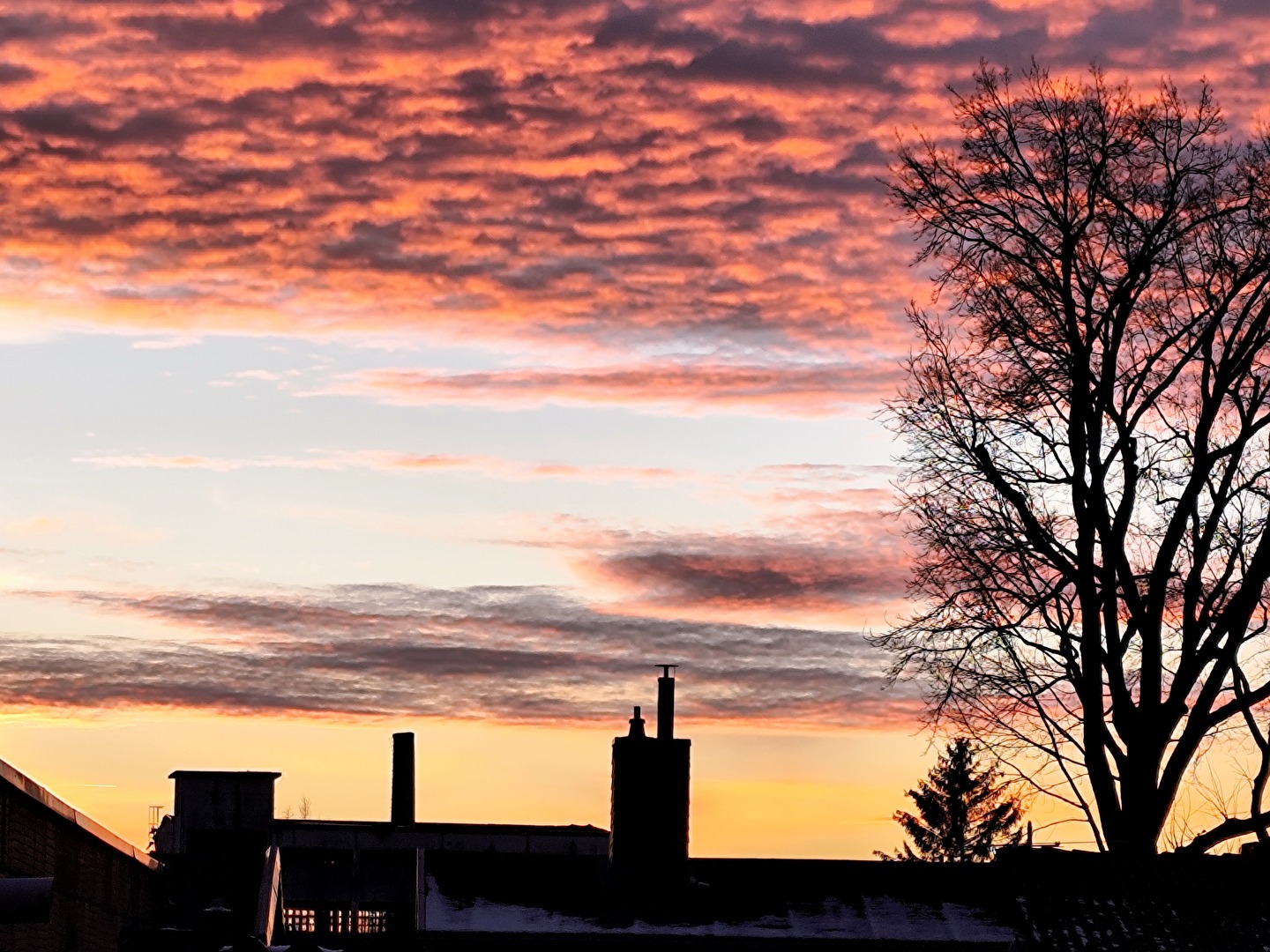 abendlicher Blick aus dem Fenster