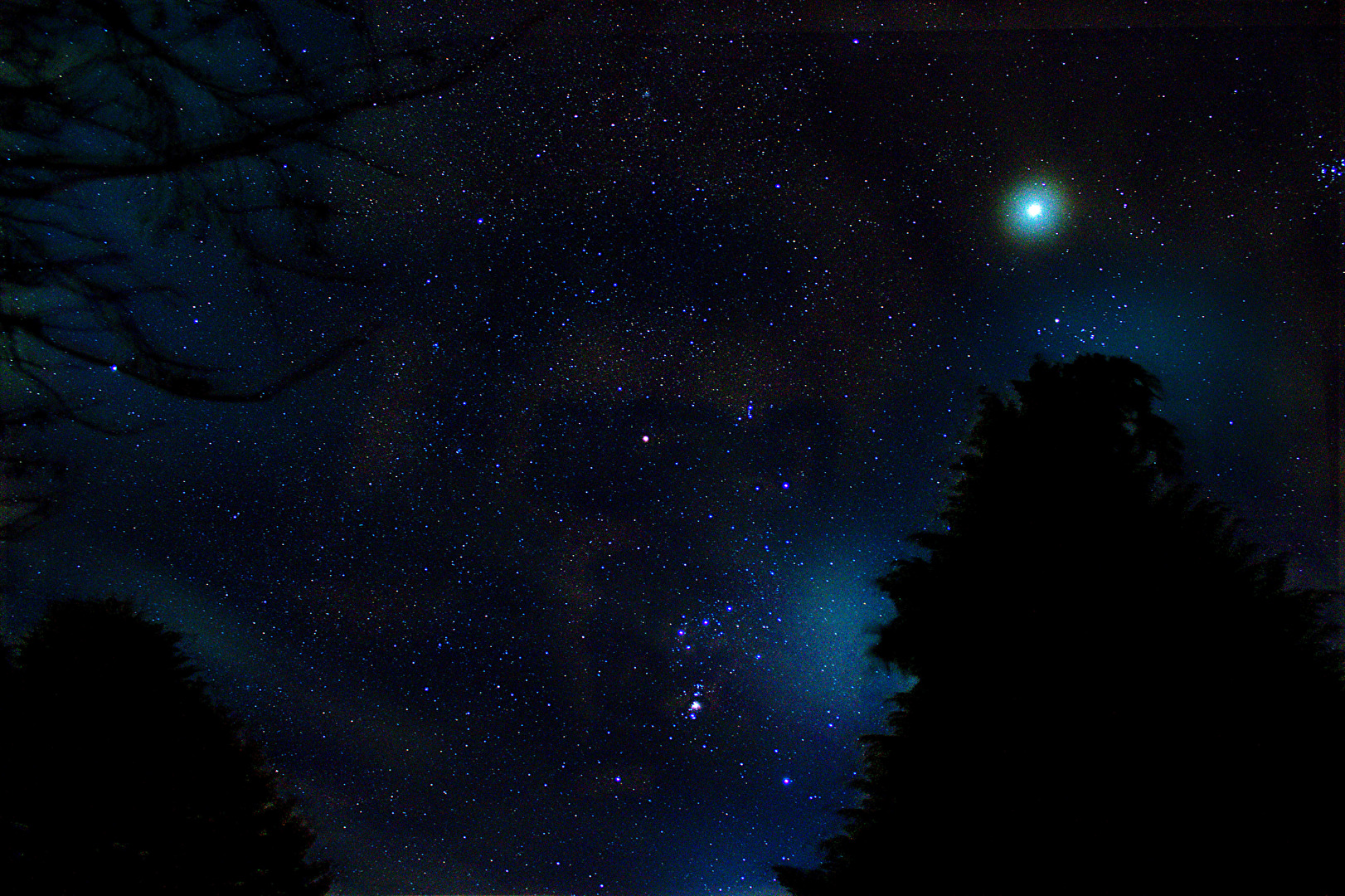 Orion im Garten