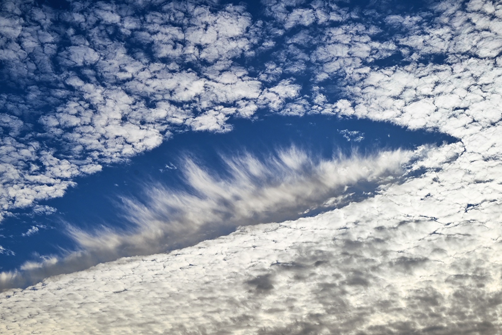 WolkenFisch