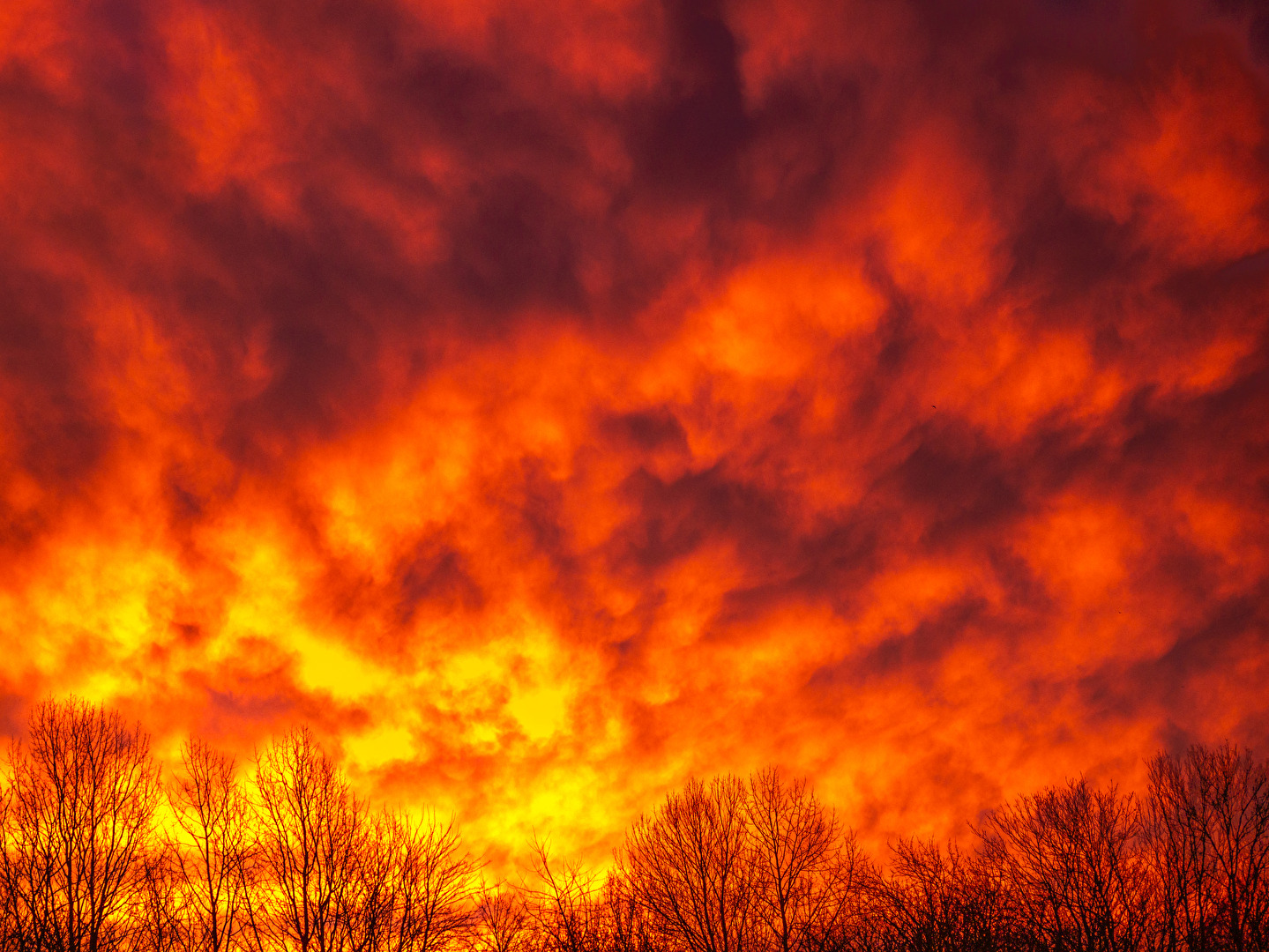Der Himmel brennt