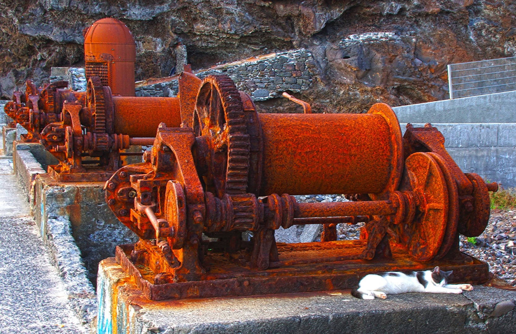 Alte Drahtwinden mit neuen Leben