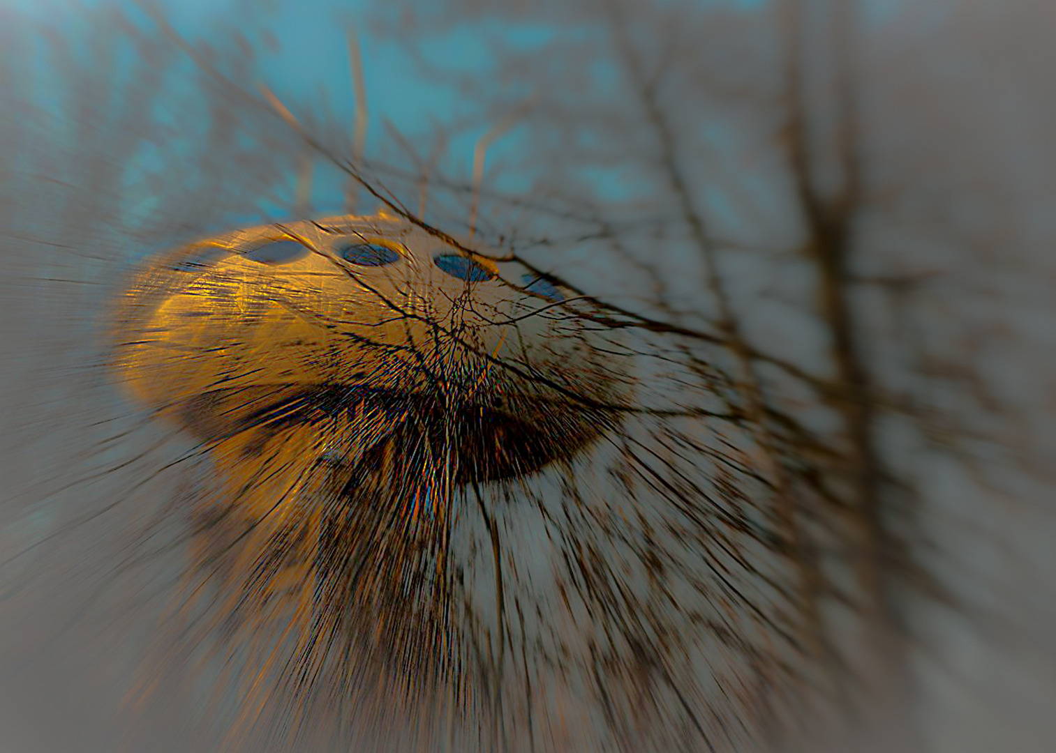 UFO 1