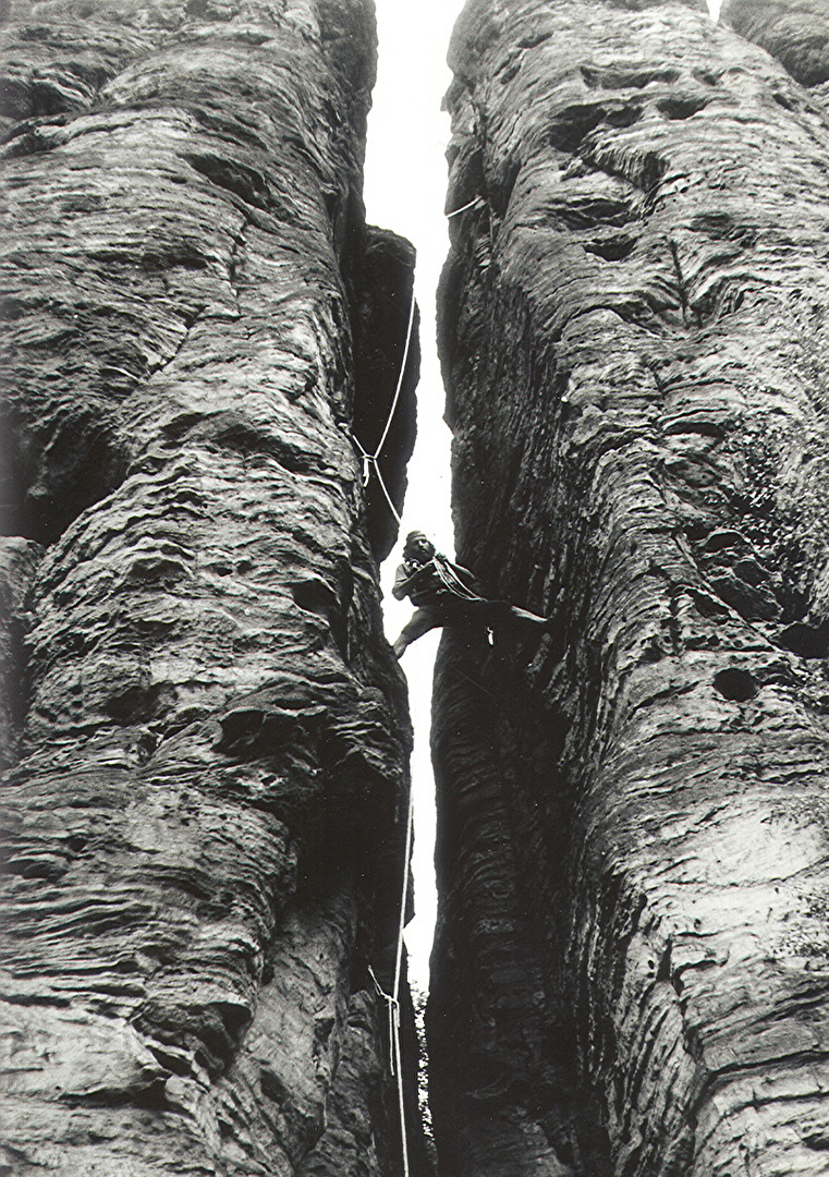 Profilbilder