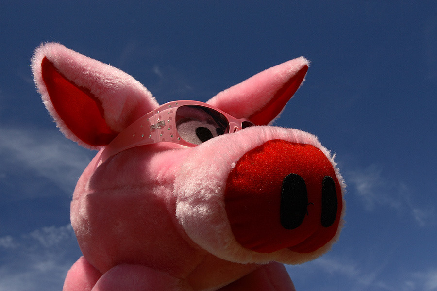 Es kommen auch wieder rosigere Zeiten!